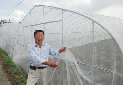 草莓防虫网