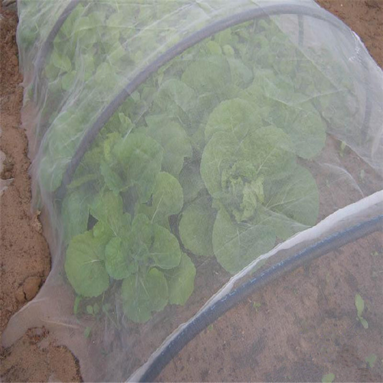 大棚防虫网
