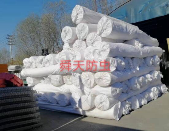 脐橙防虫网大量库存