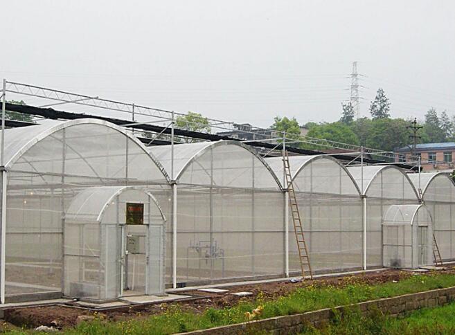 种植蔬菜为什么必须覆盖防虫网？