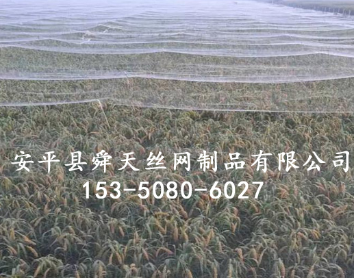 防鸟网的用处，如何选择防鸟网