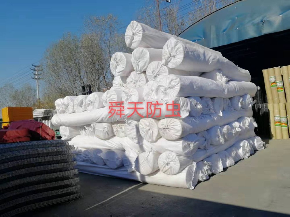 使用防虫网的必要性